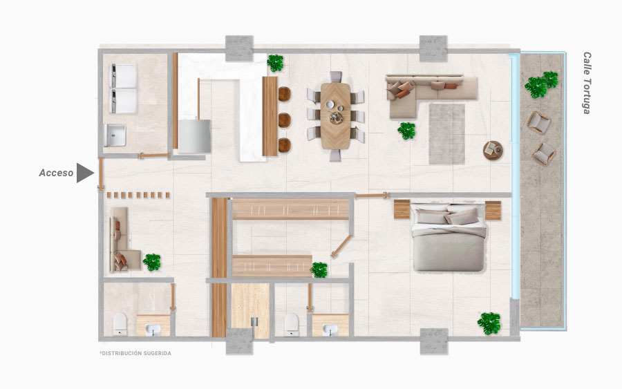 Plano Adhara